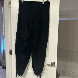 Never worn black parachute, cargo pants from wild fable. Size large.